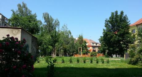 Vysazení živého plotu