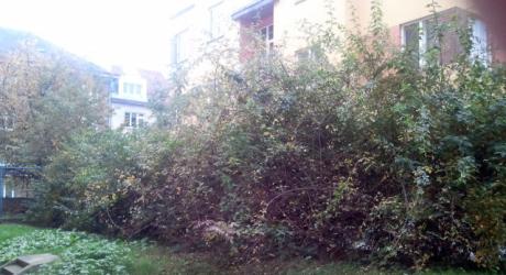 Původní stav zahrady za domem