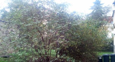 Původní stav zahrady za domem